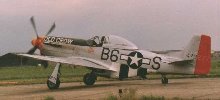 Warbirds et P-51 Mustang à volonté !