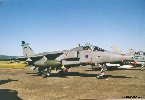 Jaguar de la Royal Air Force