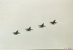 Les quatre CF-18 en formation pour le missing man